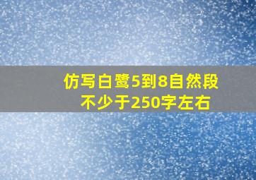 仿写白鹭5到8自然段 不少于250字左右